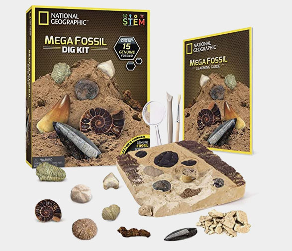 National Geographic Mega Fossil Dig Kit